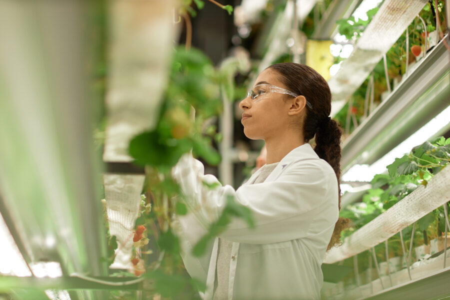 How Ourvita Is Innovating In The Longevity Sector