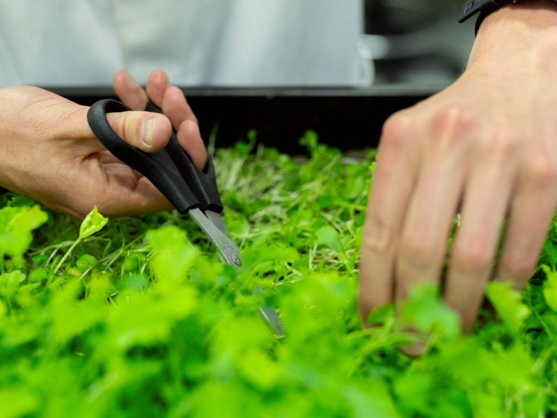 Powering a Greener Future at our Minneapolis, MN Site