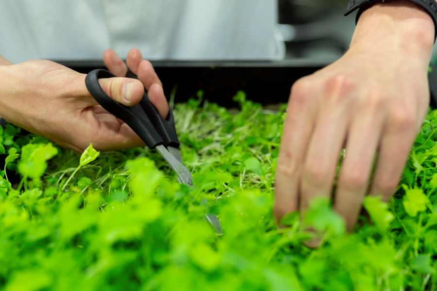 Powering a Greener Future at our Minneapolis, MN Site