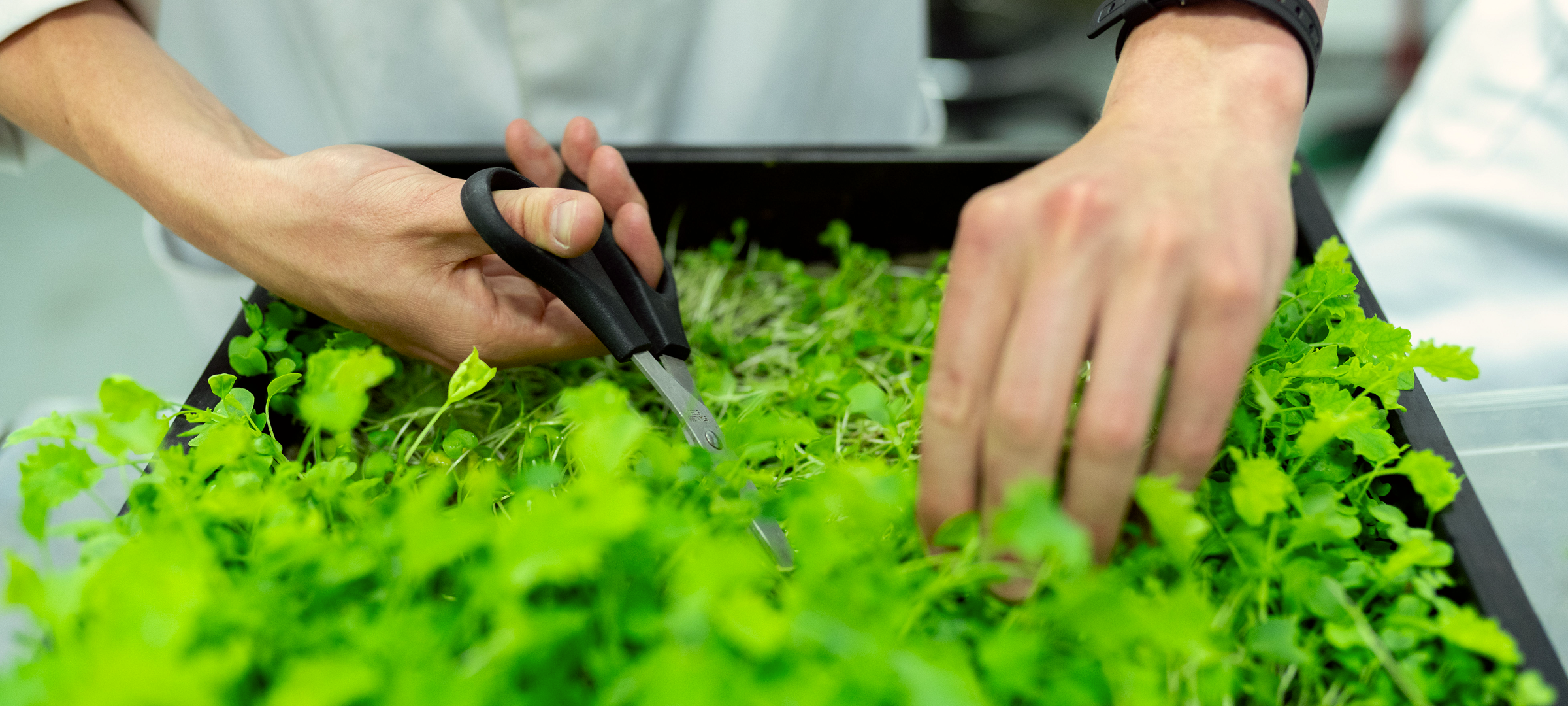 Powering a Greener Future at our Minneapolis, MN Site