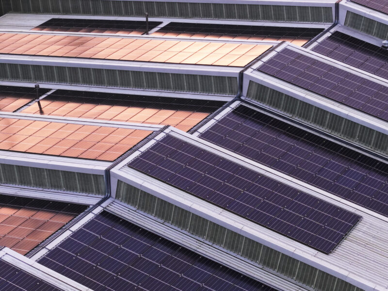 The Big Solar Switch-On at HBI Thompson & Capper